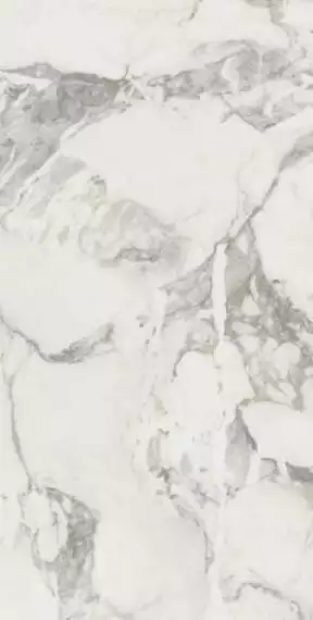 610010002746 Микеланджело Колд 60x120